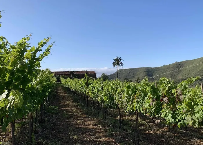 Cerca De La Costa De 2 公寓