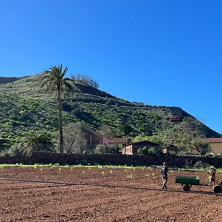 Cerca De La Costa De La Laguna 2 * La Laguna (Tenerife)